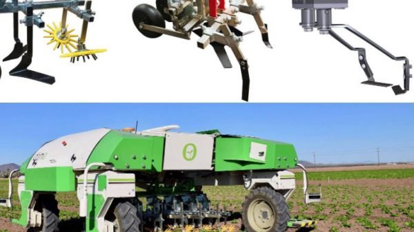Weeding robots- Image from Facebook