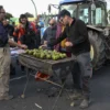 Catalonia's farmers demand more help over drought