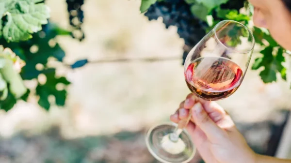 Australian Farmers Grapple with Wine Surplus, Remove Millions