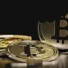 Bitcoin Whales' Identity Revealed Beyond Banks