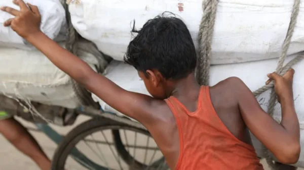 EU Supports Legal Measures to Tackle Forced Labor within Supply